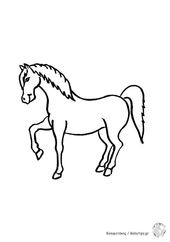 horse