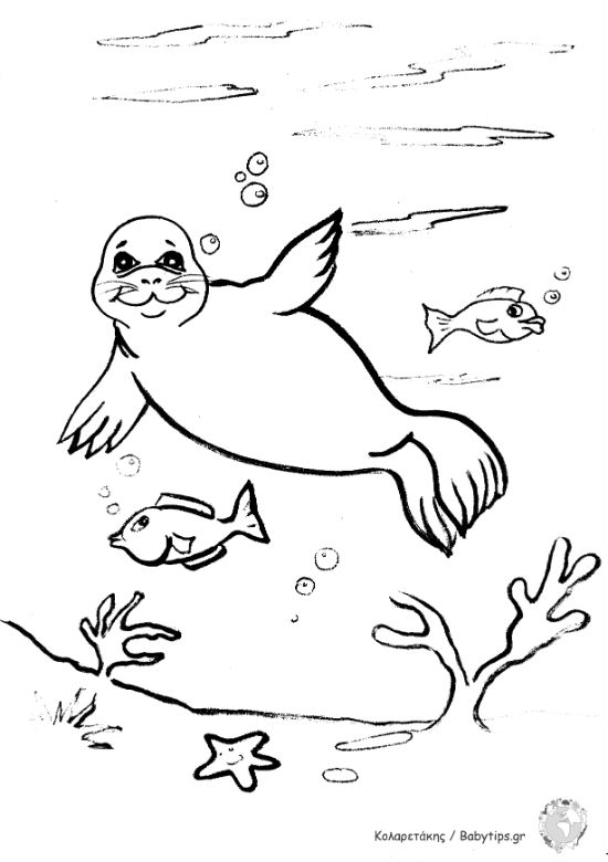 seal1